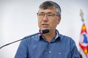 Vereador solicita detalhes sobre serviços de poda e extração de árvores