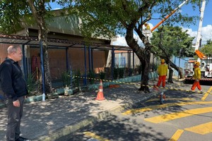 Vereador acompanha supressão de árvores em frente a creche em Artemis