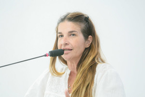 Aprovado, em 1ª discussão, projeto que proíbe manter animais sós em veículos