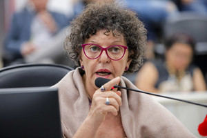 Câmara aprova coautoria de vereadora em requerimento de audiência pública