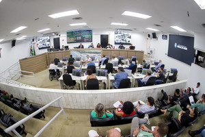 Saúde, zeladoria, resíduos e árvores pautam requerimentos nesta segunda (30)