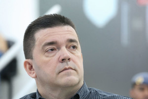 Requerimento cobra explicações sobre demora em poda de árvore no Morumbi