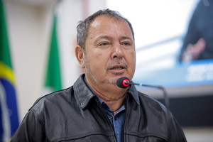 Câmara aprova proibição de plantio de árvore potencialmente nociva a abelhas