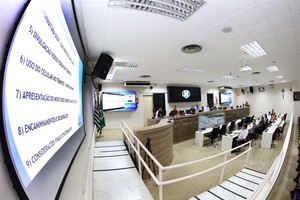 Trânsito: celular ao volante está em quarto lugar entre as infrações