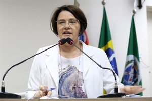 Nancy Thame defende olhar amplo ao definir Plano Diretor