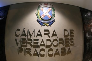 Câmara delibera sobre medidas de controle do carrapato-estrela