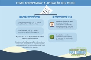Entenda como é feita a apuração dos votos nas eleições municipais