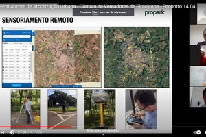 Comissão de acompanhamento reforçará políticas de arborização