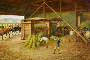 O Povo que construiu Piracicaba