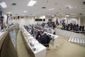 Câmara aprova redação final do PDL sobre comemoração ao bicentenário