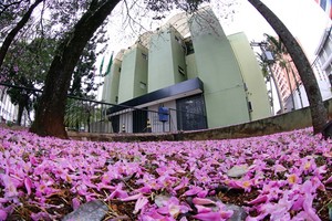 Fórum Inter-Religioso debate inovações trazidas por lei estadual  