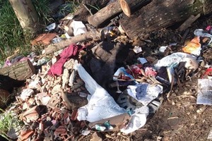 Vereador protocola indicações com demandas da região Santa Teresinha