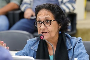 Vereadora questiona regras para aplicação de multas entre 23h às 5h