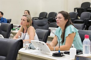 Representantes do Coren falam à CPI sobre protocolos de atendimento