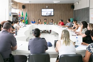 Rede de Proteção à Mulher quer reunião com representantes do Executivo
