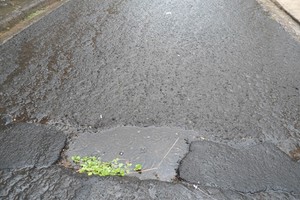 José Luiz indica recapeamento em ruas da Paulista