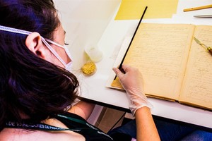 Leis Antigas: Autorização de Construção do Matadouro Municipal (1910)