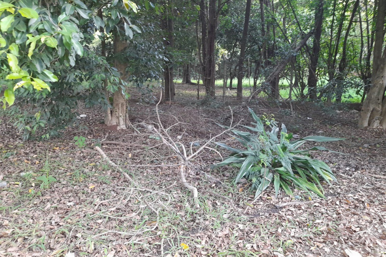 Vereador solicita melhorias para o centro de lazer do Jardim Abaeté
