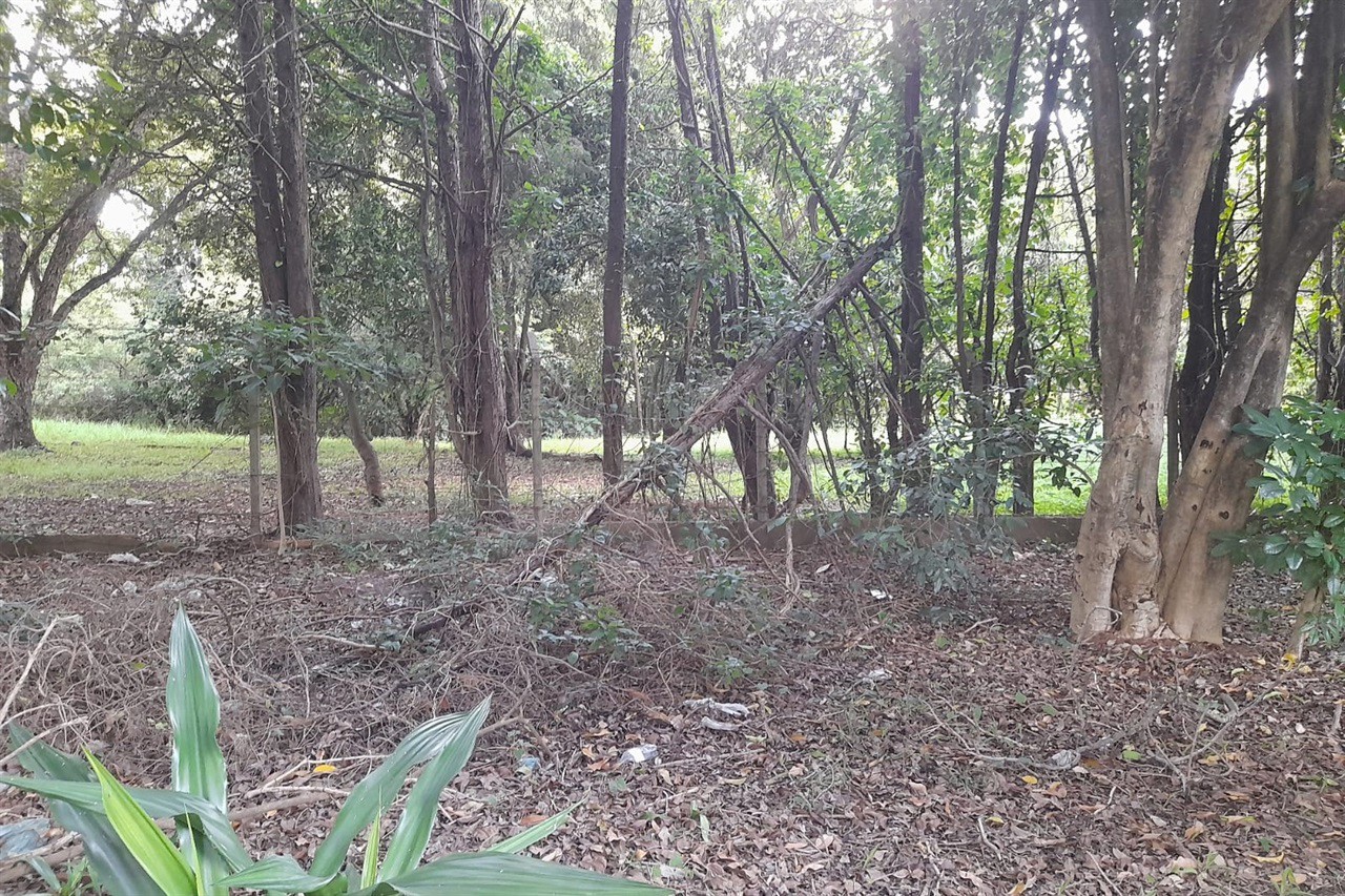 Vereador solicita melhorias para o centro de lazer do Jardim Abaeté