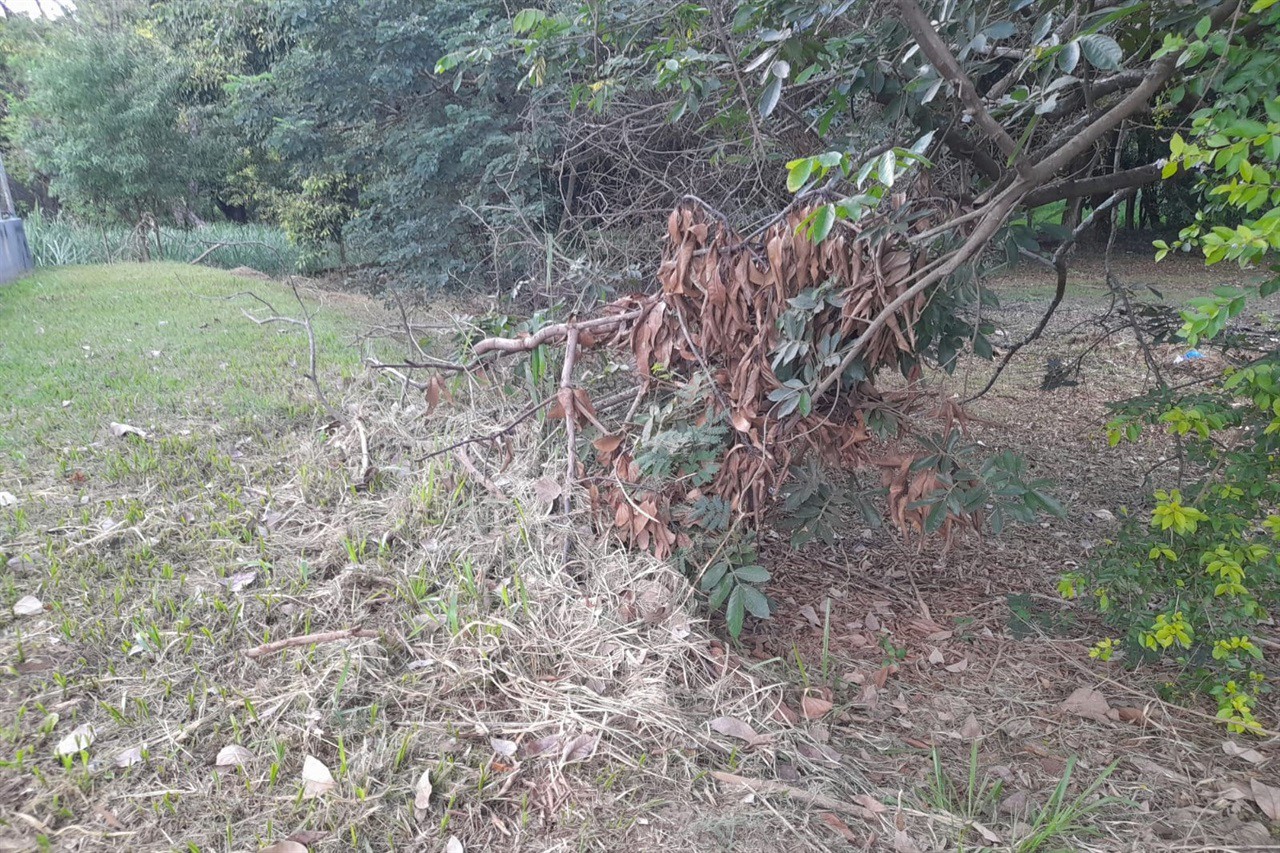 Vereador solicita melhorias para o centro de lazer do Jardim Abaeté