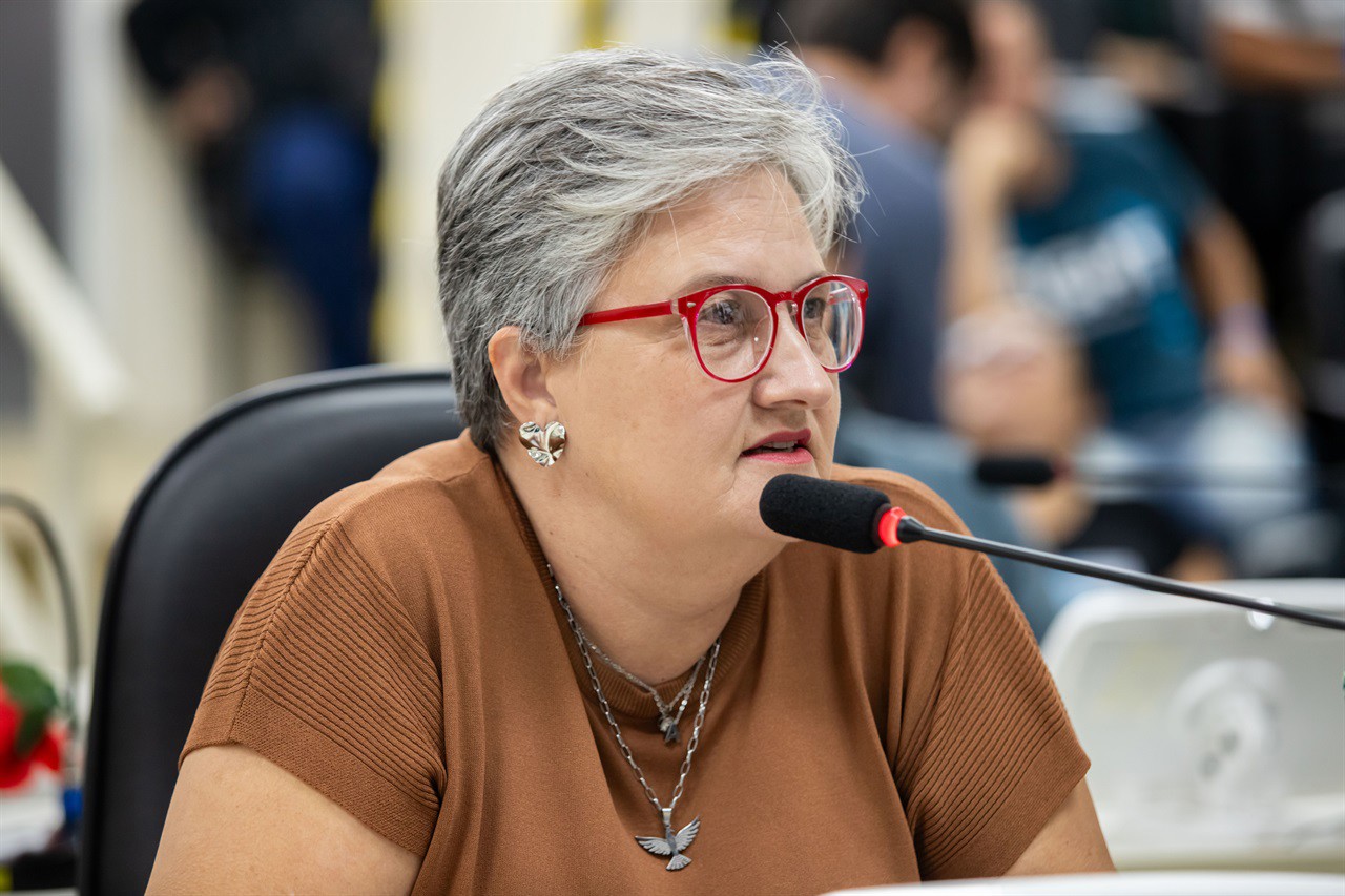 Audiência pública foi a primeira atividade da tramitação da LDO na Câmara