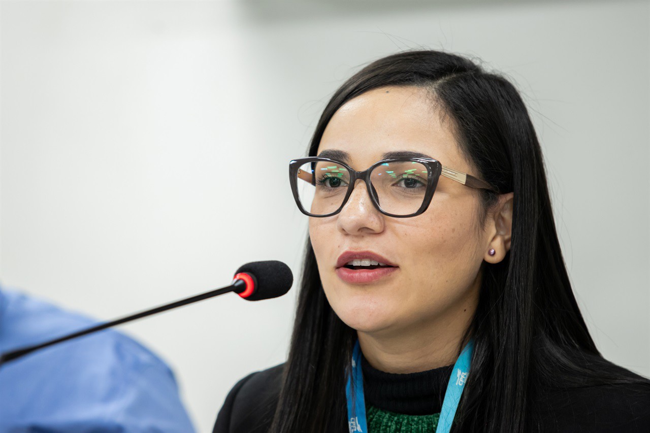 Participaram da audiência pública vereadores, representantes do Executivo, da CPFL e de empresas da área de telecomunicações