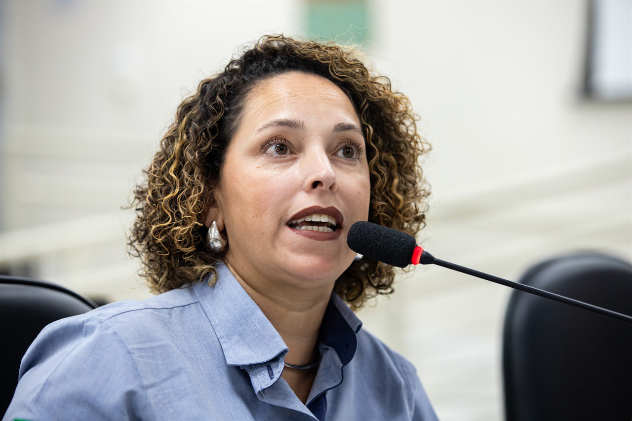 Participaram da audiência pública vereadores, representantes do Executivo, da CPFL e de empresas da área de telecomunicações