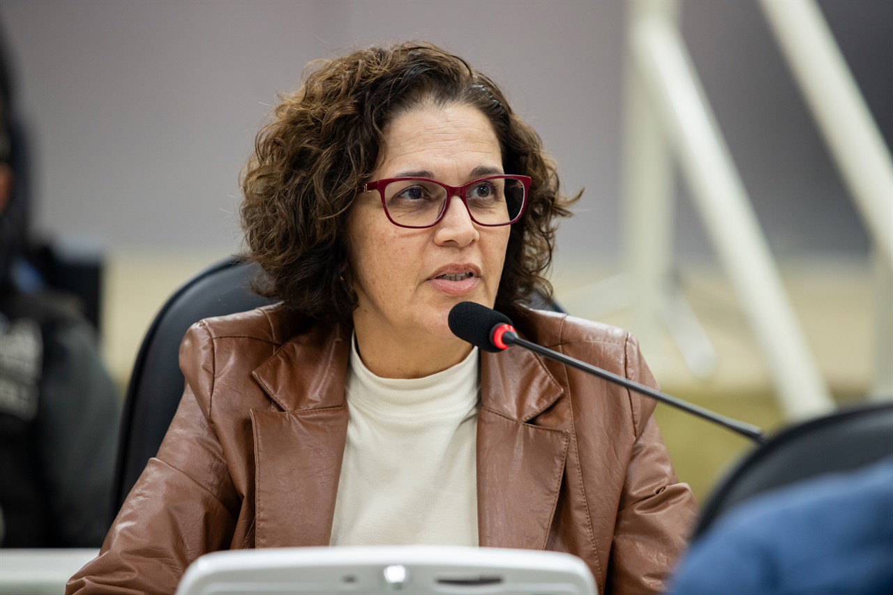 Audiência pública realizada na tarde desta terça (10), no Plenário "Francisco Antonio Coelho", foi solicitada e presidida pelo vereador Gustavo Pompeo