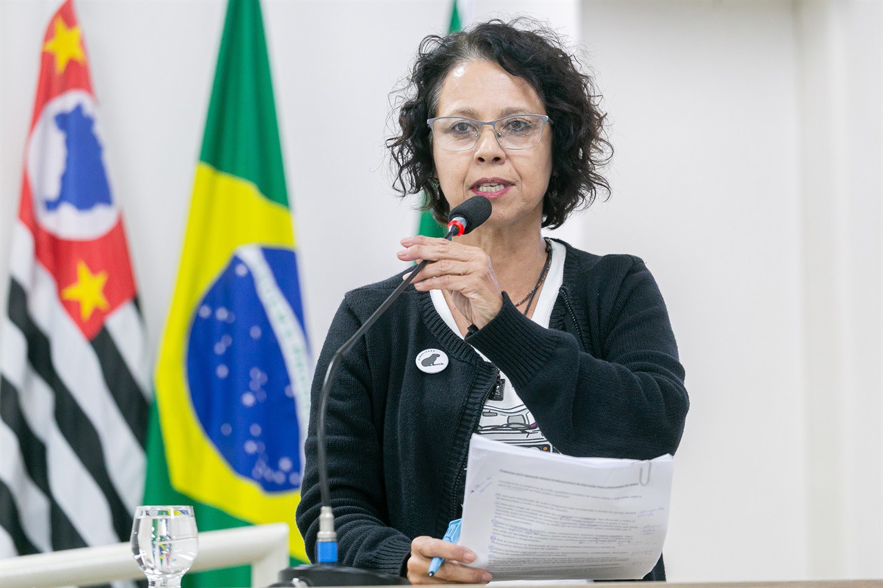 PL 81/2025 é da vereadora Silvia Morales (PV), do mandato coletivo "A Cidade é Sua"