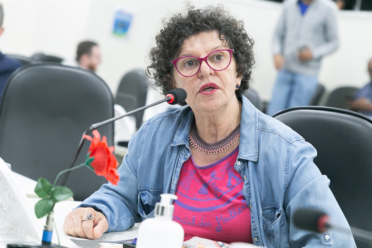 Vereadora Rai de Almeida (PT) cita as taxas de mortalidade materna e infantil da população negra