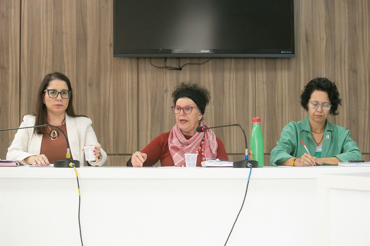 Reunião aconteceu na tarde desta quarta-feira (30), na Câmara Municipal de Piracicaba