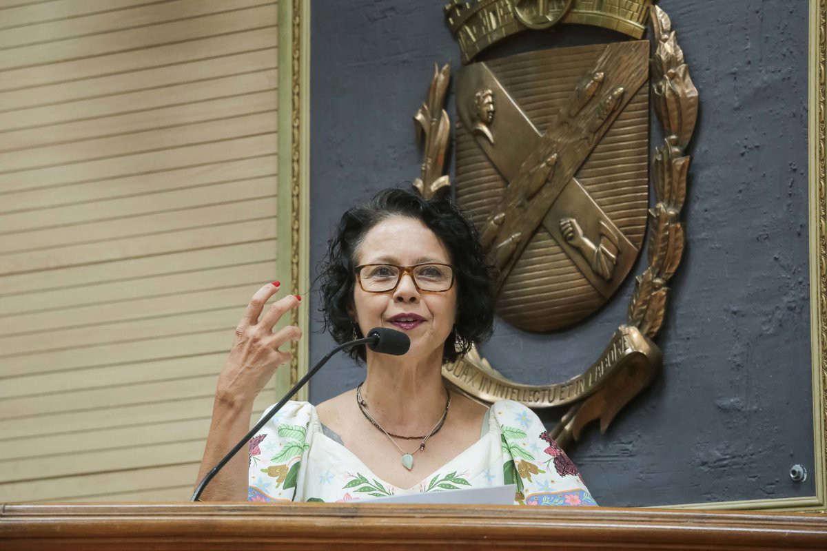Solenidade foi presidida pela vereadora Sílvia Morales (PV), do Mandato Coletivo A Cidade é Sua