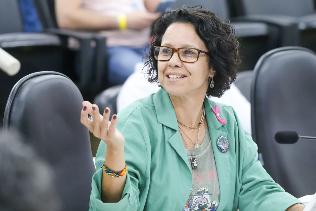 Vereadora Silvia Morales (PV)