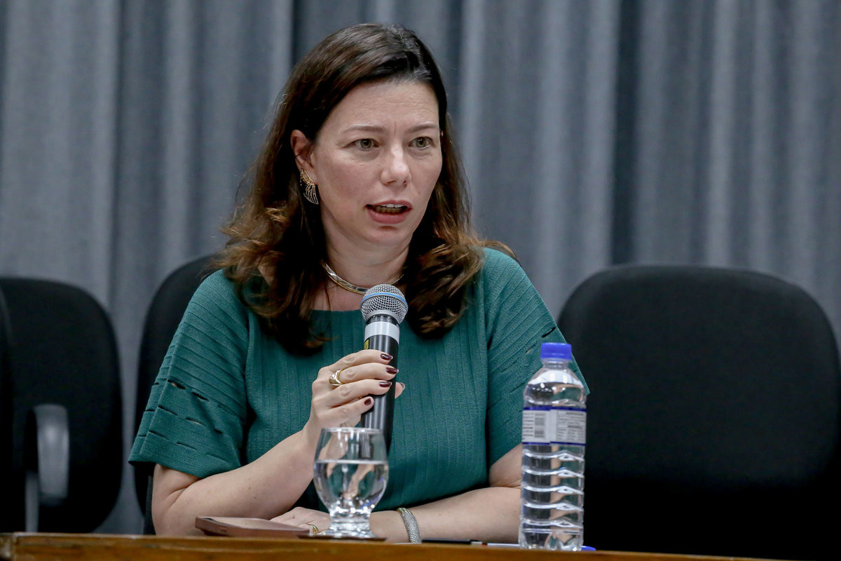 Audiência pública contou com novas sugestões de mudanças, como revogação de artigo e indicação de concursados como representantes do poder público no Comdema