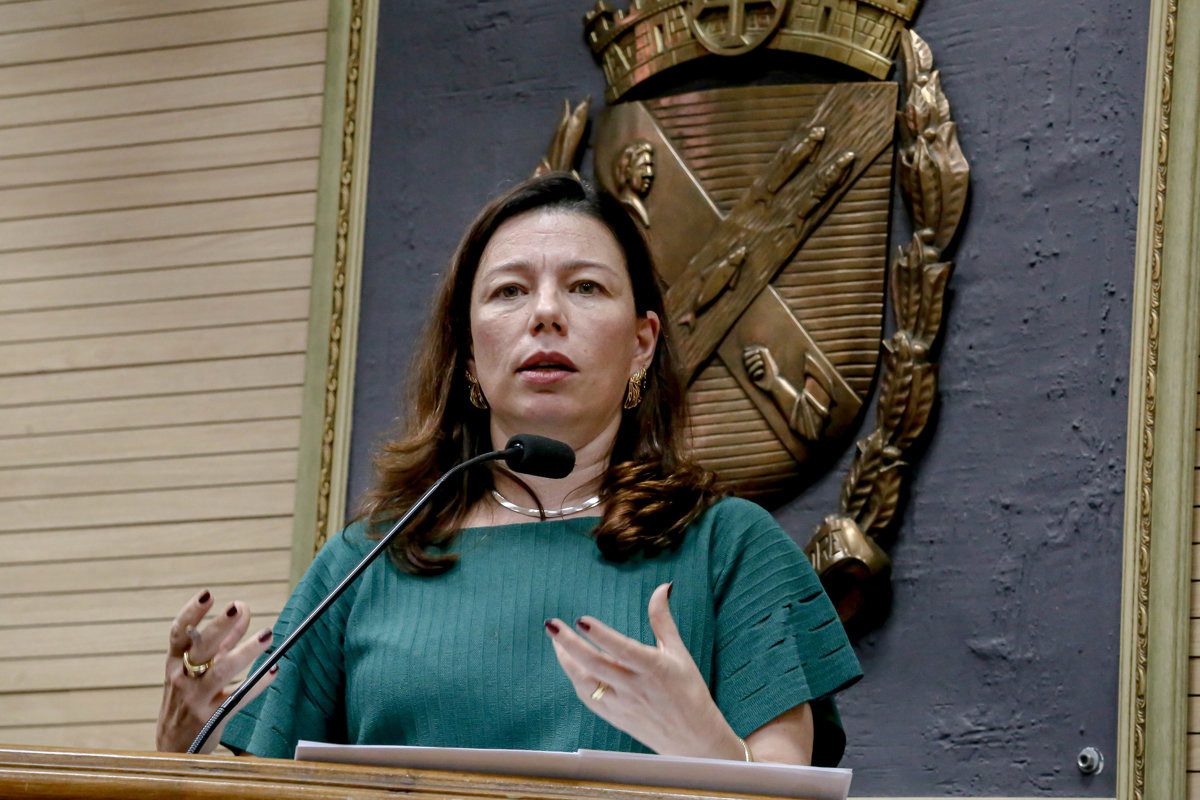 Audiência pública contou com novas sugestões de mudanças, como revogação de artigo e indicação de concursados como representantes do poder público no Comdema