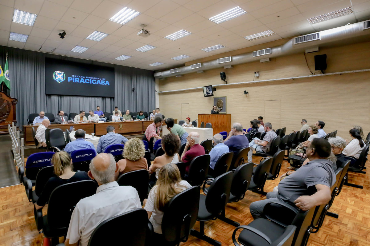 Audiência pública contou com novas sugestões de mudanças, como revogação de artigo e indicação de concursados como representantes do poder público no Comdema