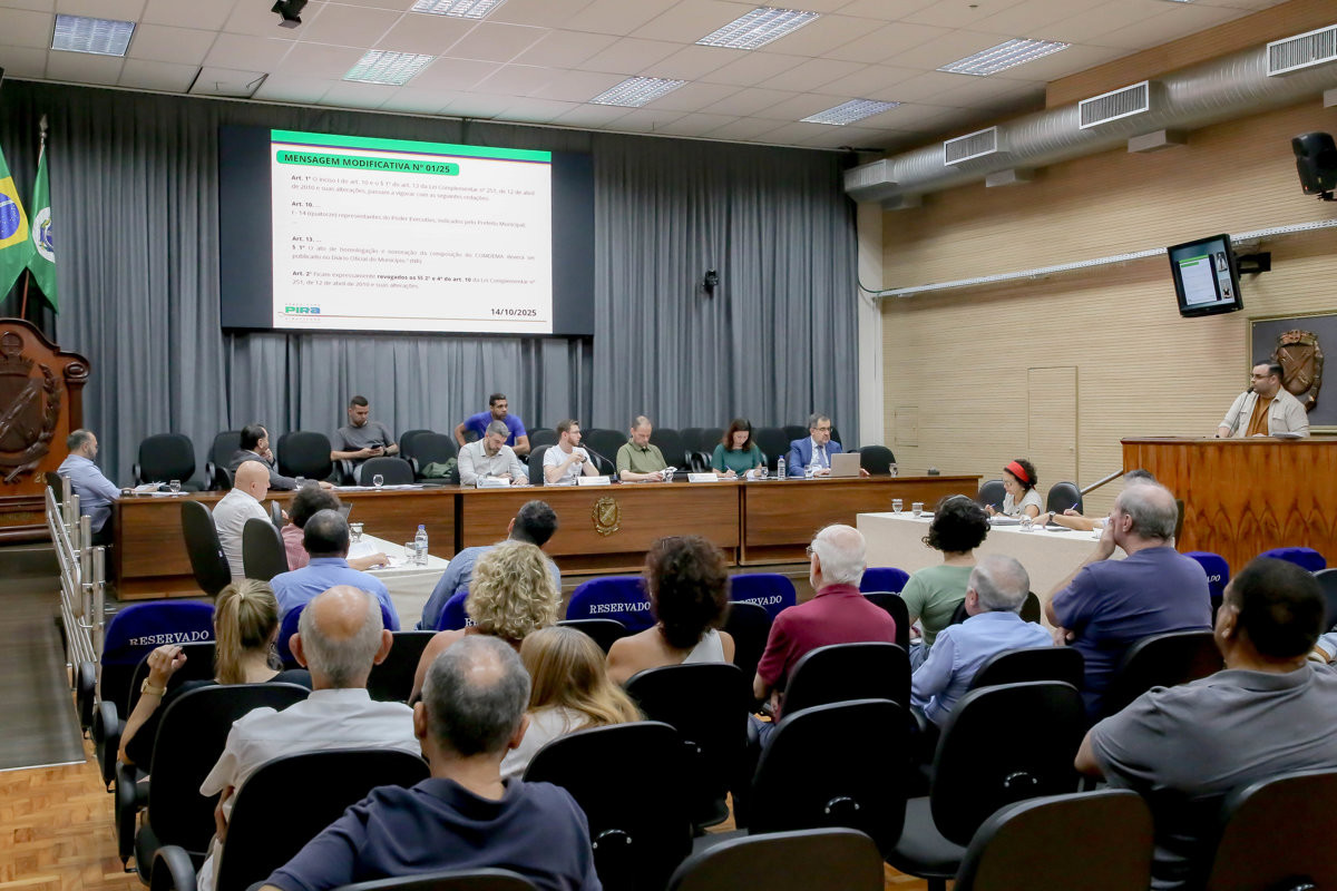 Audiência pública contou com novas sugestões de mudanças, como revogação de artigo e indicação de concursados como representantes do poder público no Comdema
