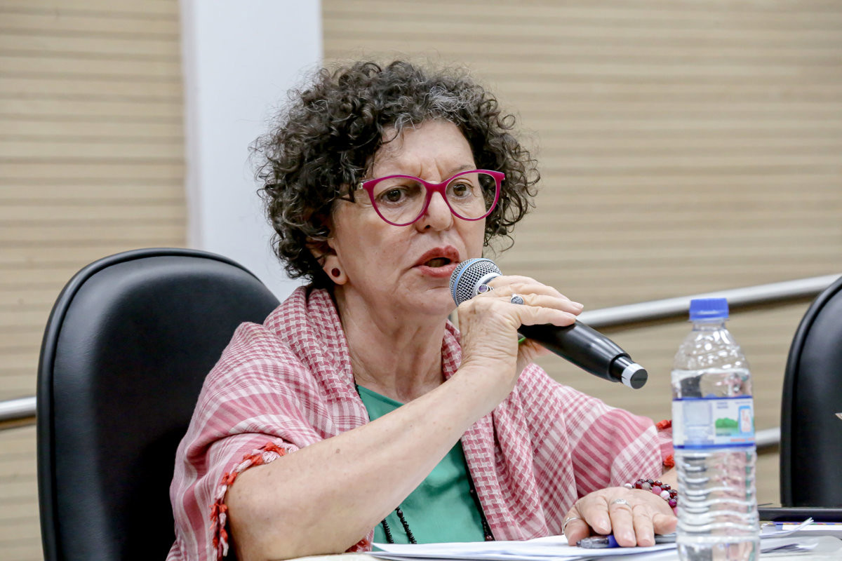 Audiência pública contou com novas sugestões de mudanças, como revogação de artigo e indicação de concursados como representantes do poder público no Comdema