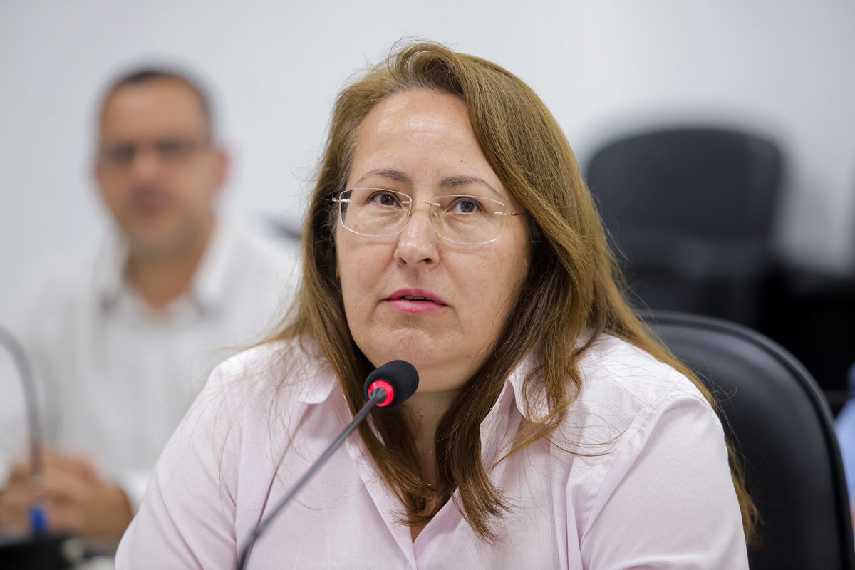 A audiência pública desta quarta-feira (19) foi realizada no Plenário "Francisco Antonio Coelho"