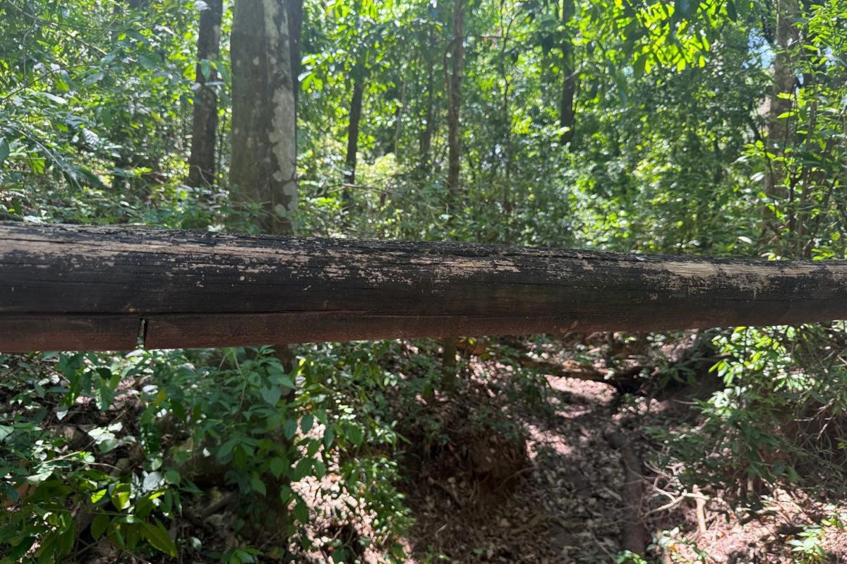 Vereador acolhe demandas comunitárias dos moradores de Santa Olímpia