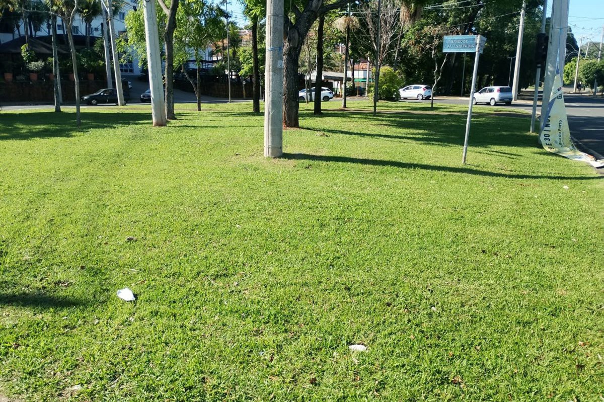 Vereador acompanha implantação de projeto piloto de arborização