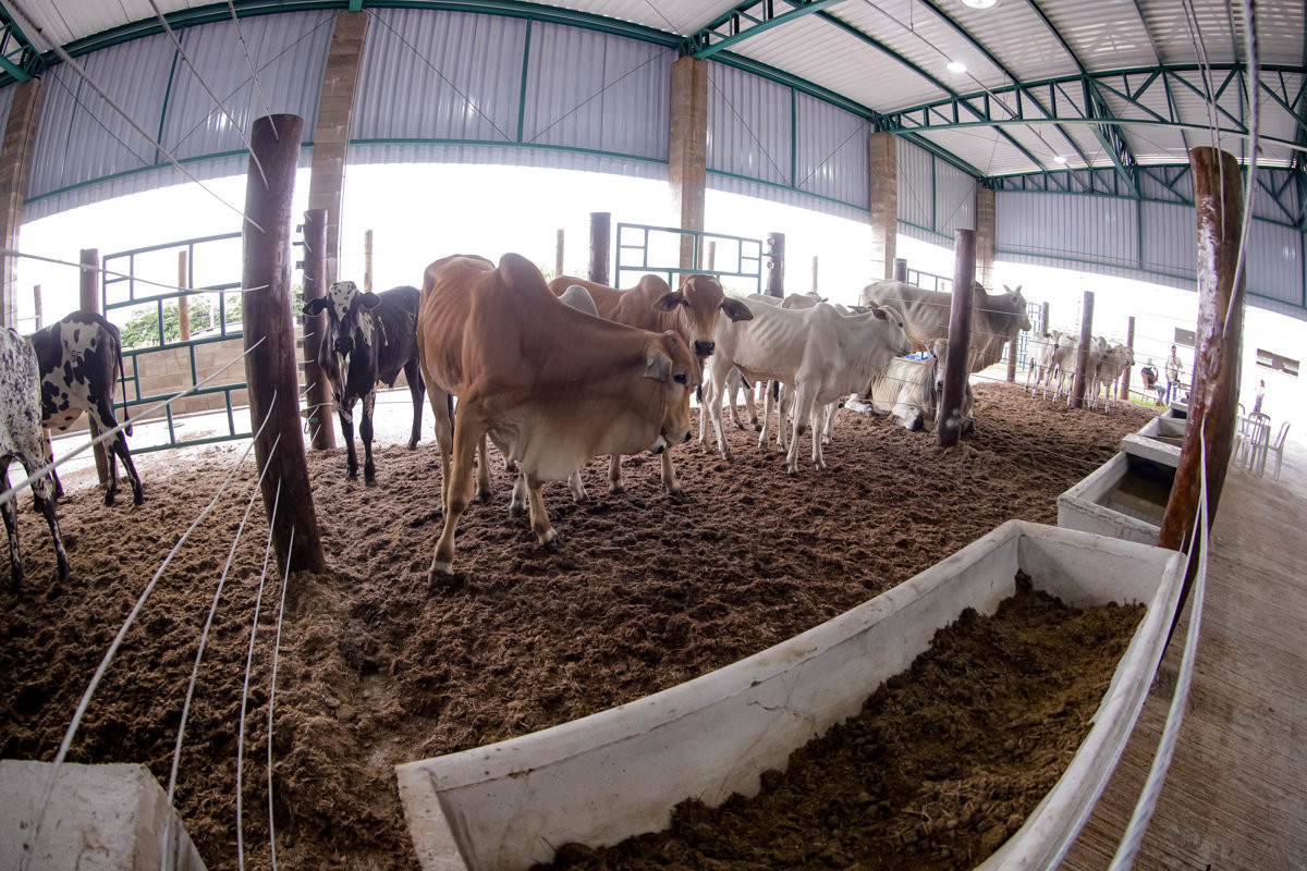 Câmara destaca feira de tecnologia de agronegócios e parabeniza Coplacana