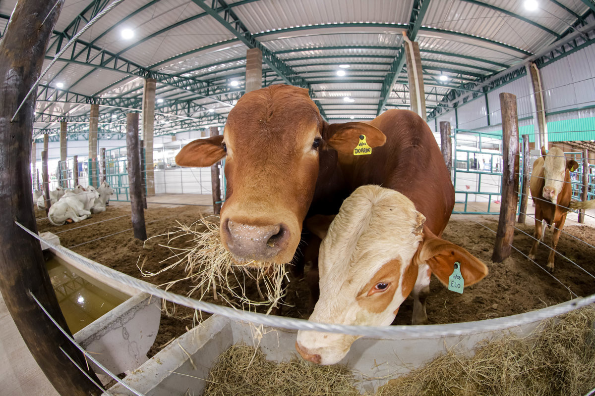 Câmara destaca feira de tecnologia de agronegócios e parabeniza Coplacana
