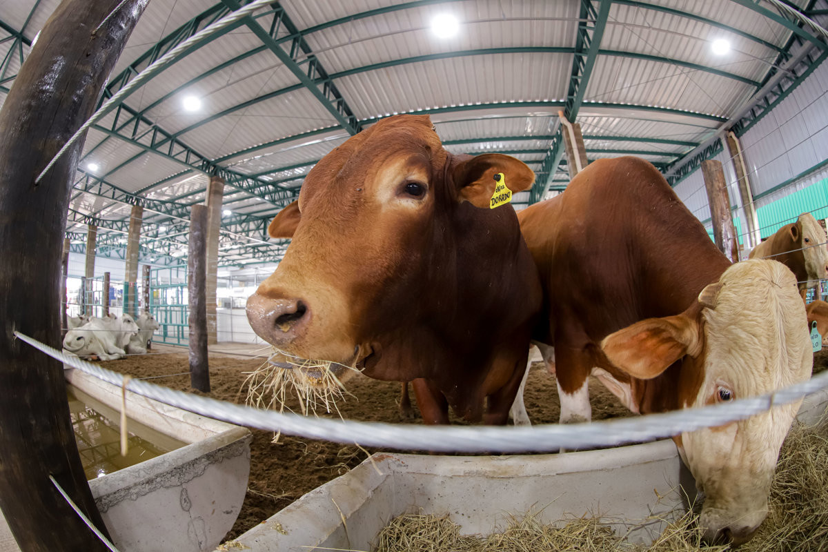 Câmara destaca feira de tecnologia de agronegócios e parabeniza Coplacana