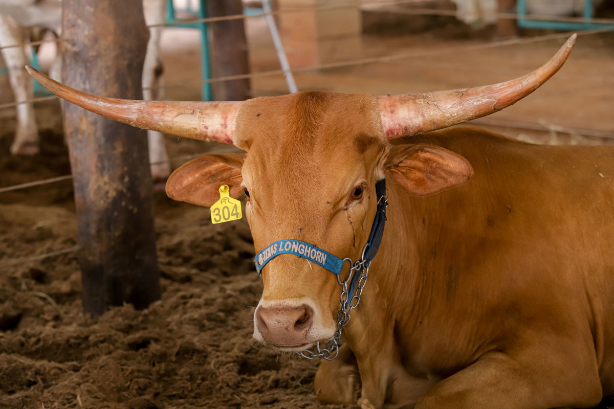 Câmara destaca feira de tecnologia de agronegócios e parabeniza Coplacana