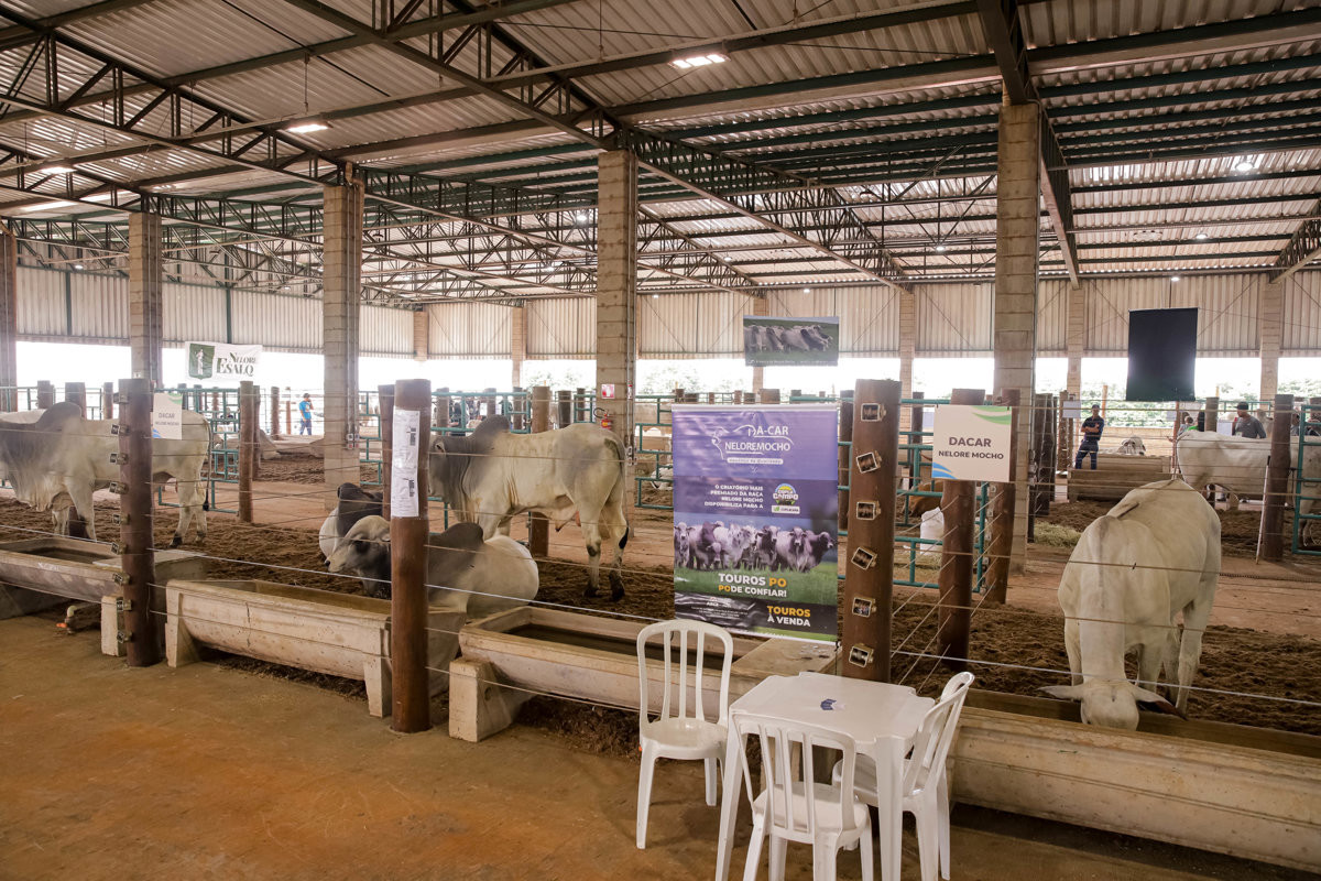 Câmara destaca feira de tecnologia de agronegócios e parabeniza Coplacana