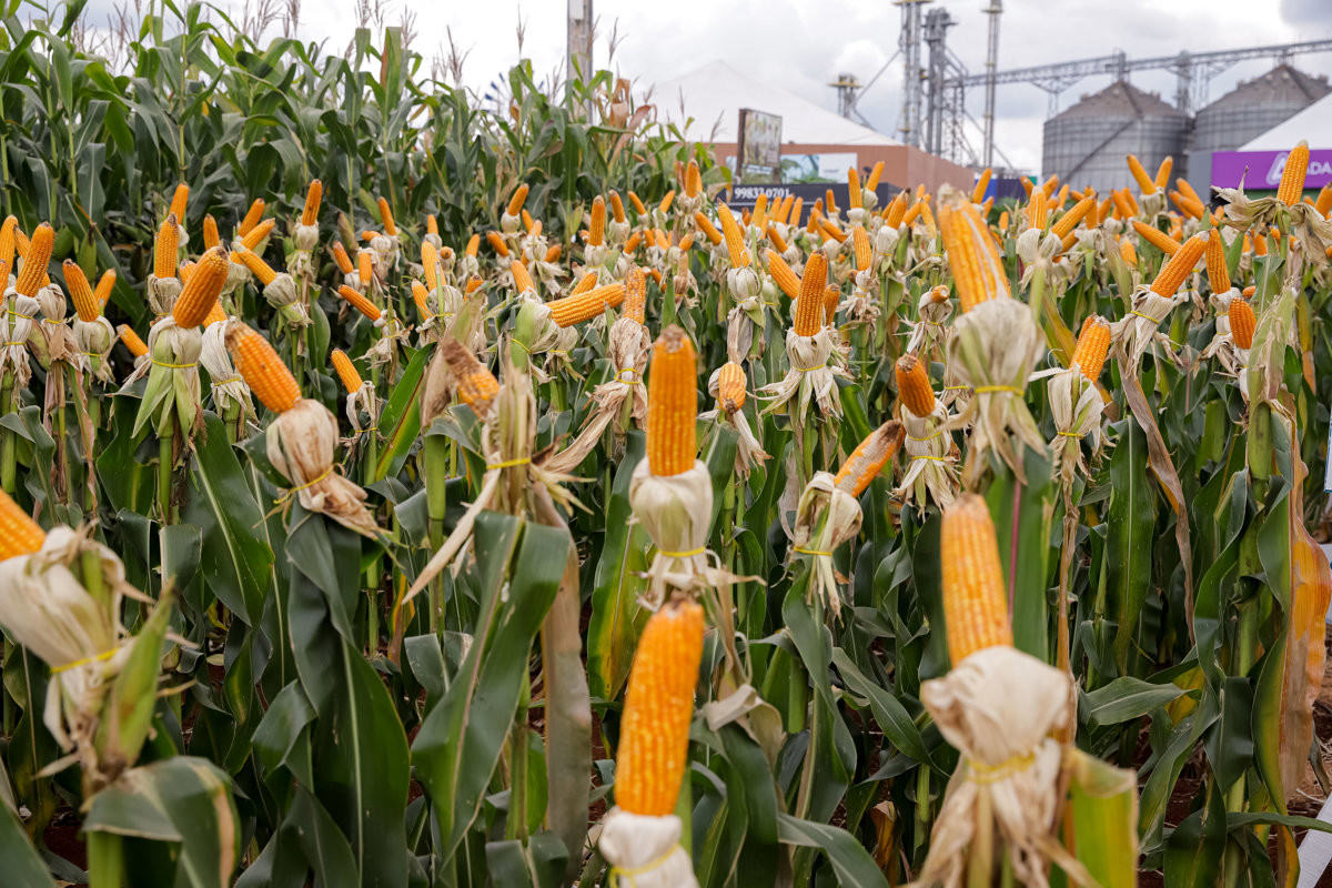 Câmara destaca feira de tecnologia de agronegócios e parabeniza Coplacana