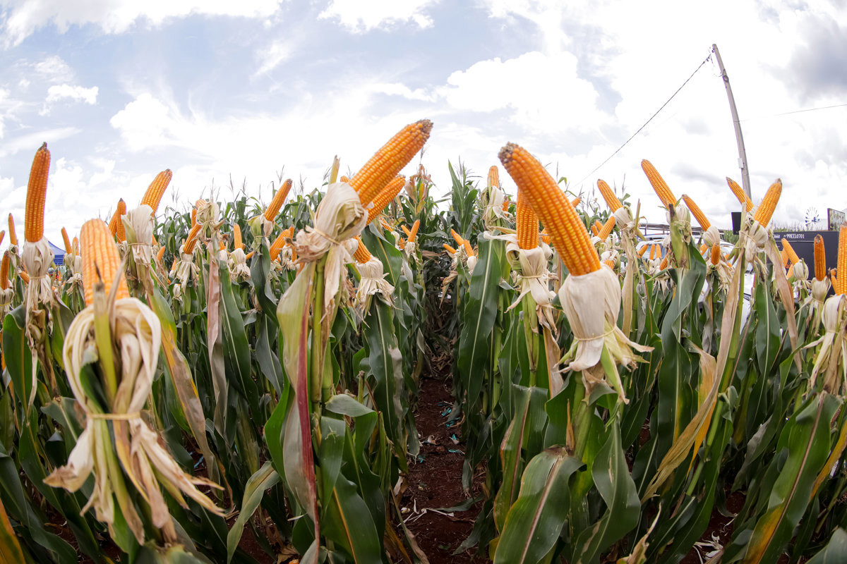 Câmara destaca feira de tecnologia de agronegócios e parabeniza Coplacana