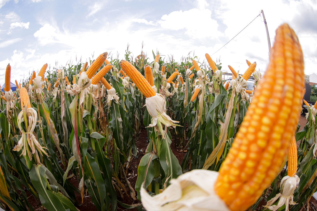 Câmara destaca feira de tecnologia de agronegócios e parabeniza Coplacana