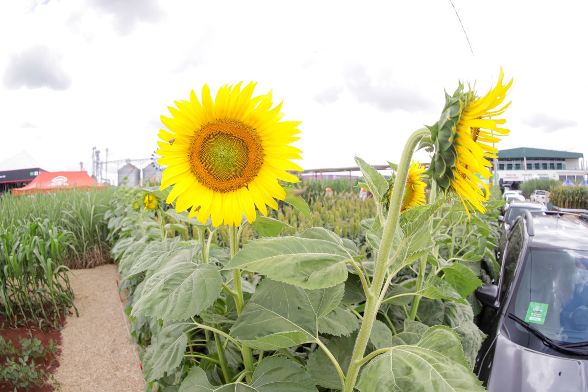 Câmara destaca feira de tecnologia de agronegócios e parabeniza Coplacana
